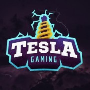 tesla gaming