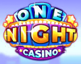 ONE NIGHT CASINO