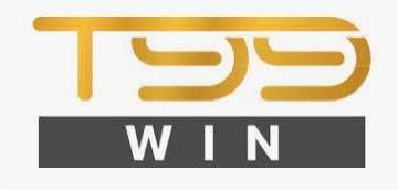 t99win logo